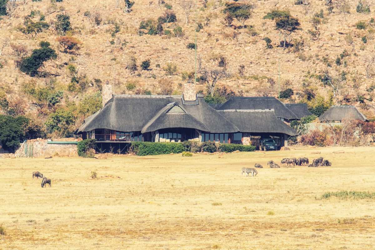 Zwei Tote auf Trophäenjagd Anwesen in Südafrika Reederei Erbin Caroline von Rantzau erschossen aufgefunden