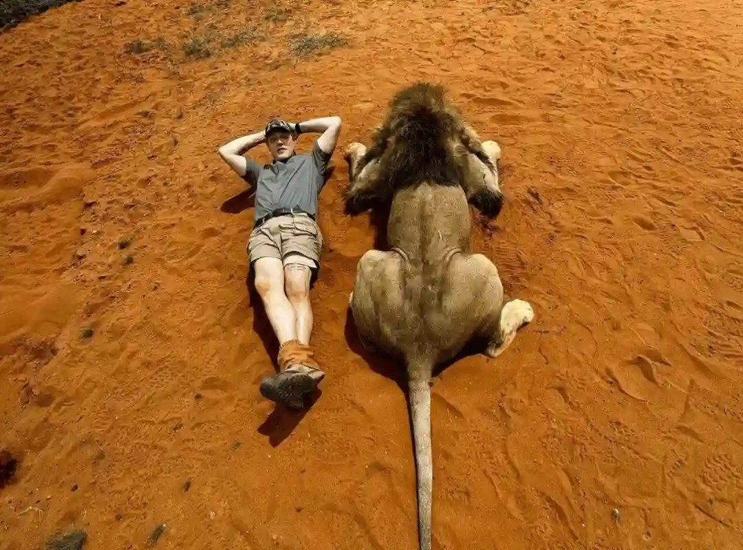 Amerikanischer Hobby Jäger tötet Löwen und lacht Empörung nach Bogenjagd Fotos in Südafrika