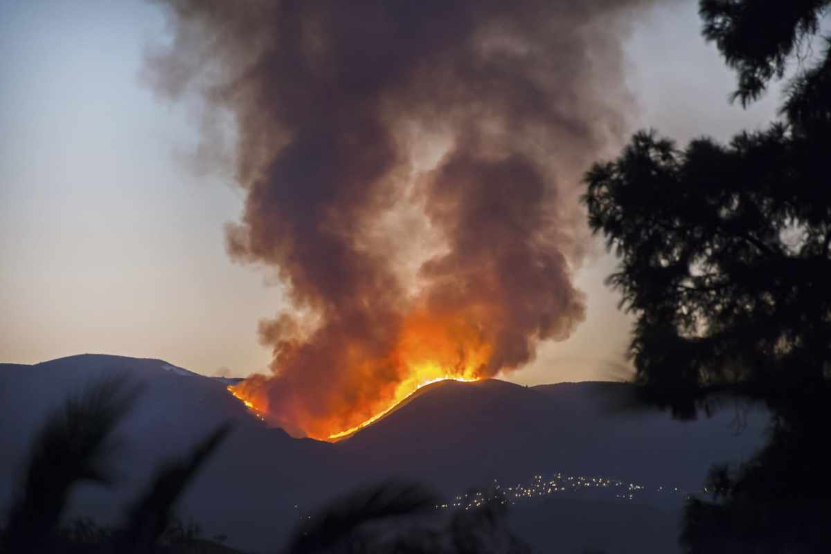 Feuer, Hitze, Flinten Warum Frankreich verweigert, was Portugal längst geregelt hat