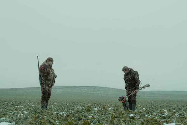 Journée mondiale contre la chasse le 11 novembre : l'IG Wild beim Wild appelle de nouveau à l'action