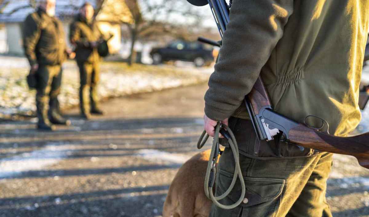 4616 Hirsche Was die Bündner Jagdplanung verschweigt