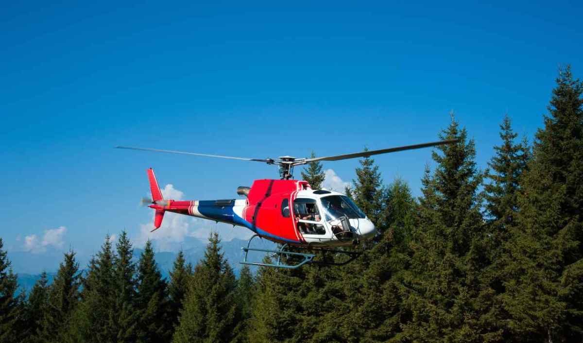 Cervo trasportato oltre confine in elicottero: cacciatore svizzero per hobby multato in Piemonte