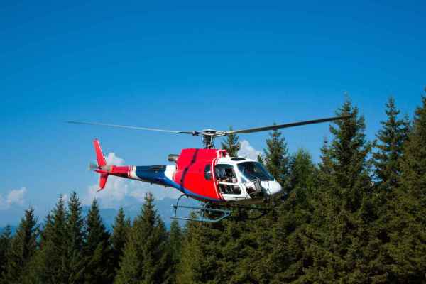 Hirsch per Helikopter über die Grenze: Schweizer Hobby-Jäger im Piemont gebüsst