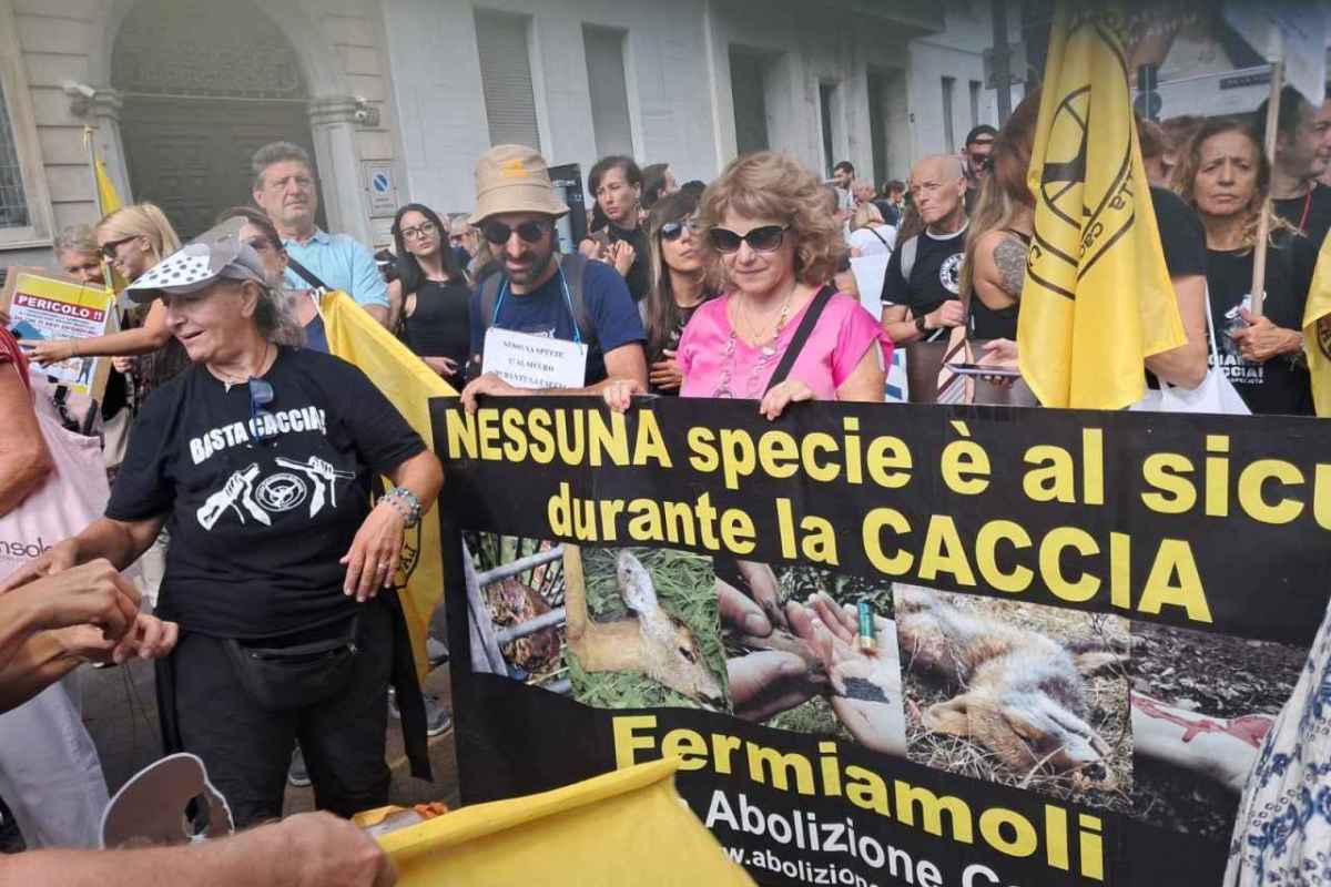 Italiens Sparatutto Gesetz Wie die Jagdlobby den Wildtierschutz umbauen will