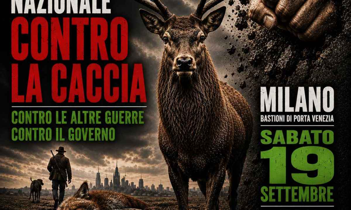 Mailand mobilisiert gegen die Hobby-Jagd