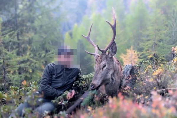 RTR: SRG-Sender verlost Jagdpatent und kürt das «schönste» Erlegerbild
