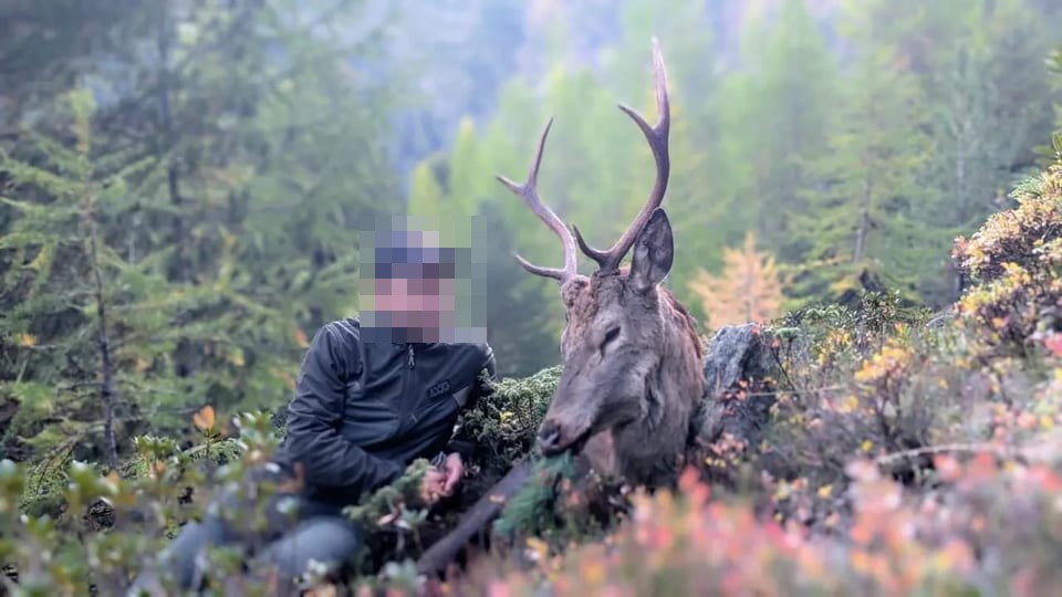 Vom RTR-Publikum gewähltes Foto der Jagd 2025: Hobby-Jäger neben erschossenem Hirsch, Gesicht unkenntlich gemacht