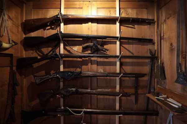 Saxony-Anhalt revokes AfD hunters' firearms licences