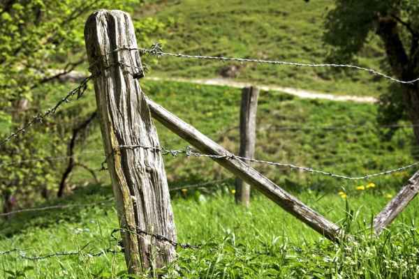 Thurgau will Stacheldrahtzäune verbieten