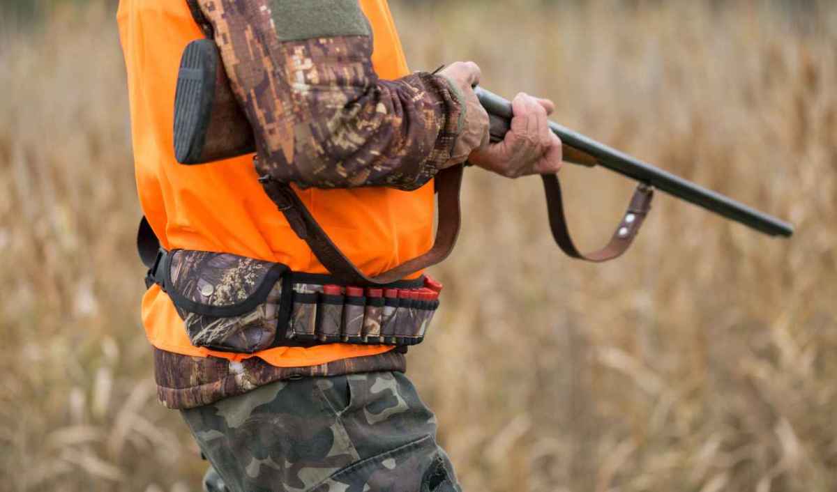 Wallis Jagd 2026/27 Vorfälle, Verstösse und Entwicklungen im Überblick