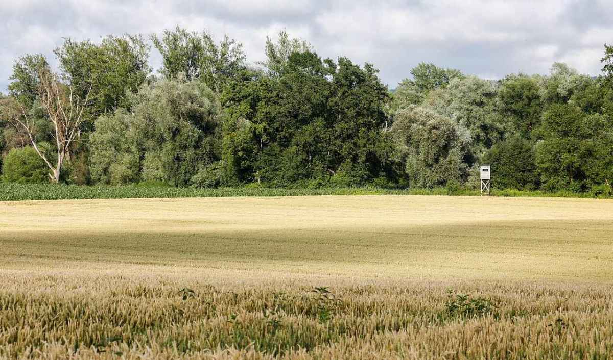 Wieder tödlicher Jagdunfall Hobby Jäger auf Hochsitz erschossen