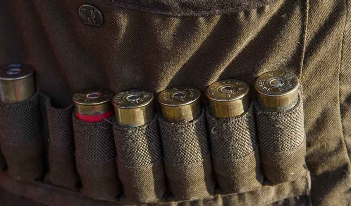 Wirtschaftsfaktor Jagd Was hinter den 180 Milliarden steckt