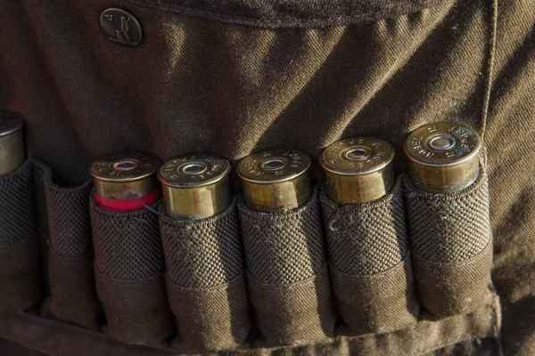 Wirtschaftsfaktor Hobby-Jagd: Was hinter den 180 Milliarden steckt