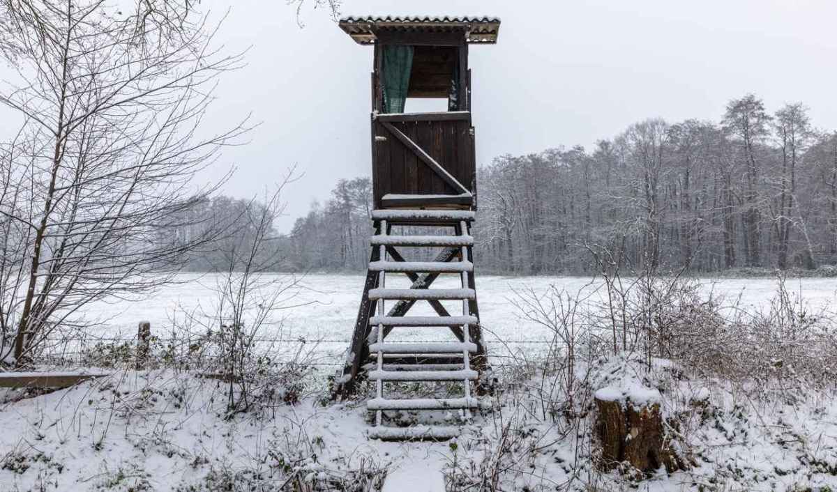 Verschneiter Hochsitz aus Holz am Rand eines Feldes vor einem Waldstück