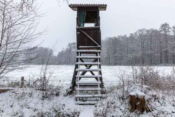 Jagdbarometer 2025: Was die Umfrage von JagdSchweiz ausblendet