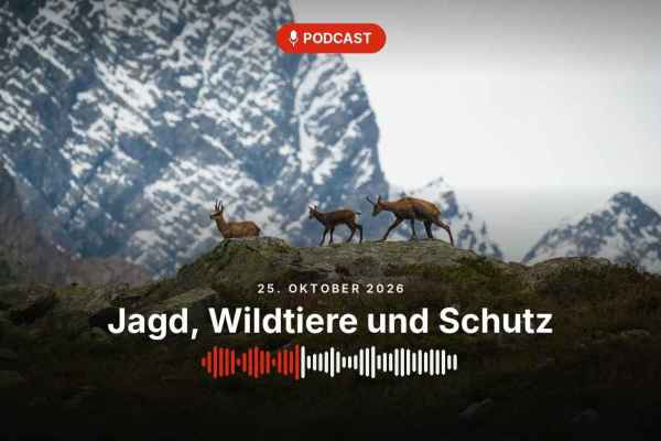 Podcast-Episode: Jagd, Wildtiere und Schutz