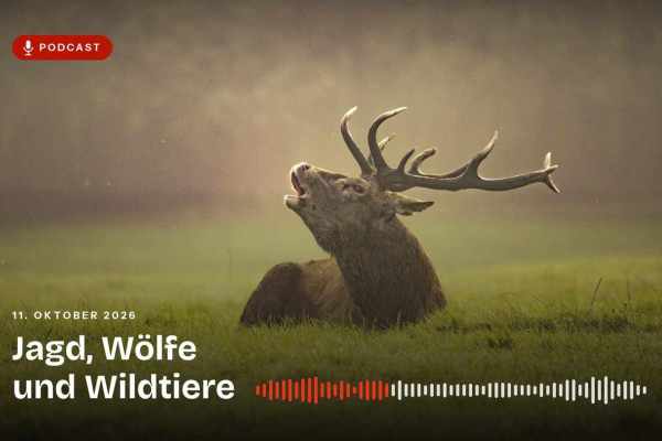 Podcast-Episode: Jagd, Wölfe und Wildtiere