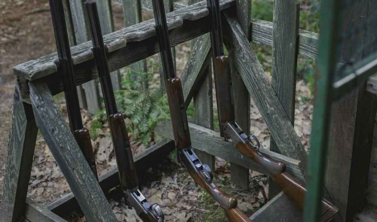Mehrere Jagdflinten lehnen an einem verwitterten Holzgestell im Wald