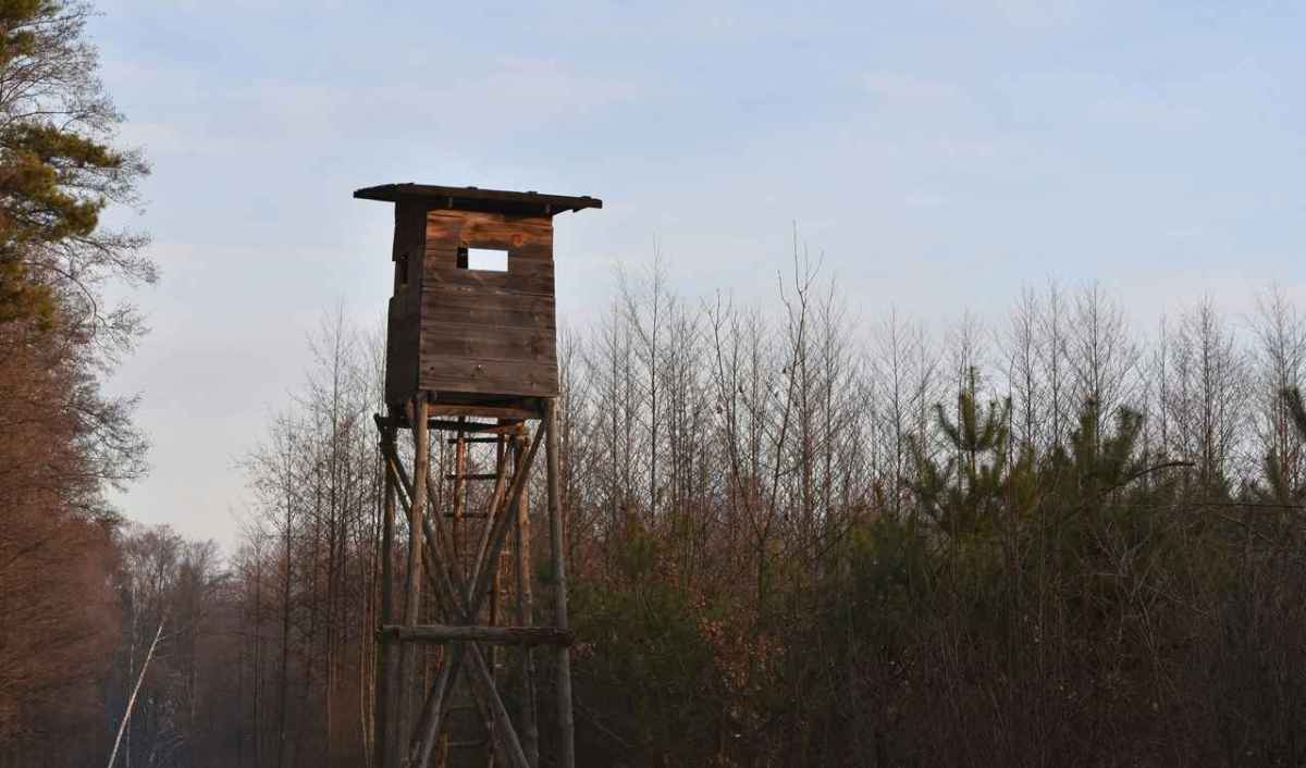 Altana di legno su alti trampoli al margine di un bosco autunnale spoglio