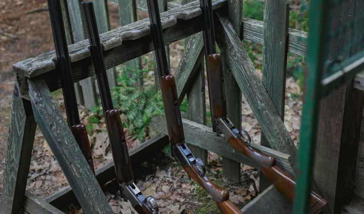 Mehrere Jagdflinten lehnen an einem hölzernen Waffenständer im Wald
