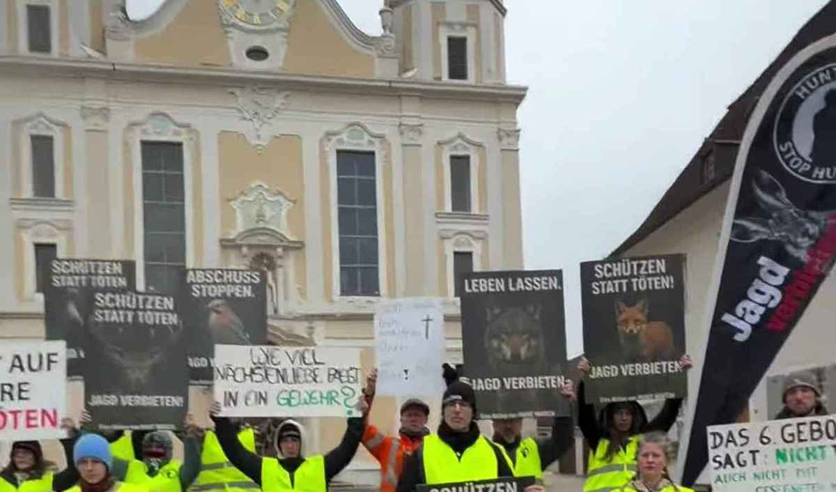 Aktivistinnen und Aktivisten von HUNT WATCH halten vor dem Dom Arlesheim Schilder gegen die Hobby-Jagd hoch