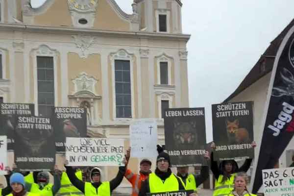 Hubertusmesse im Dom Arlesheim: Pfarrer dankt den Jagdgegnern, Kollekte geht an Hunt Watch