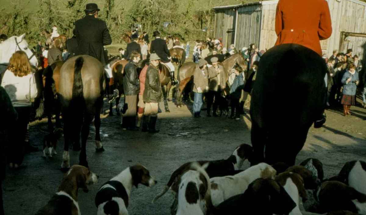 Ryttere og hundekobbel ved samlingen før en parforcejagt