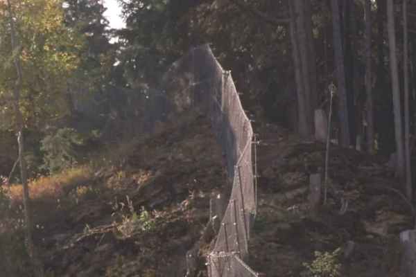 Sumvitg: CHF 1.5 million for a fence around 25 hectares of protection forest