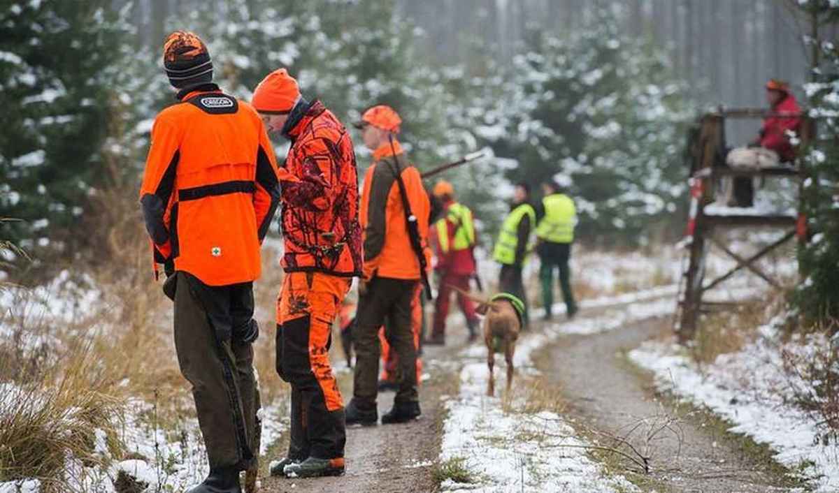 Cacciatori ricreativi in abbigliamento ad alta visibilità con cane da caccia su un sentiero forestale durante una battuta, sullo sfondo un'altana occupata
