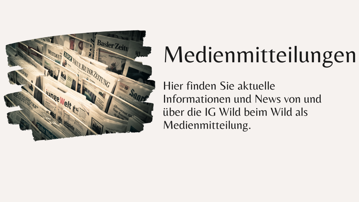 Medienmitteilungen der IG Wild beim Wild