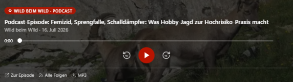 Screenshot 2026 07 16